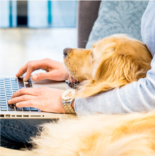 man on laptop with dog in lap