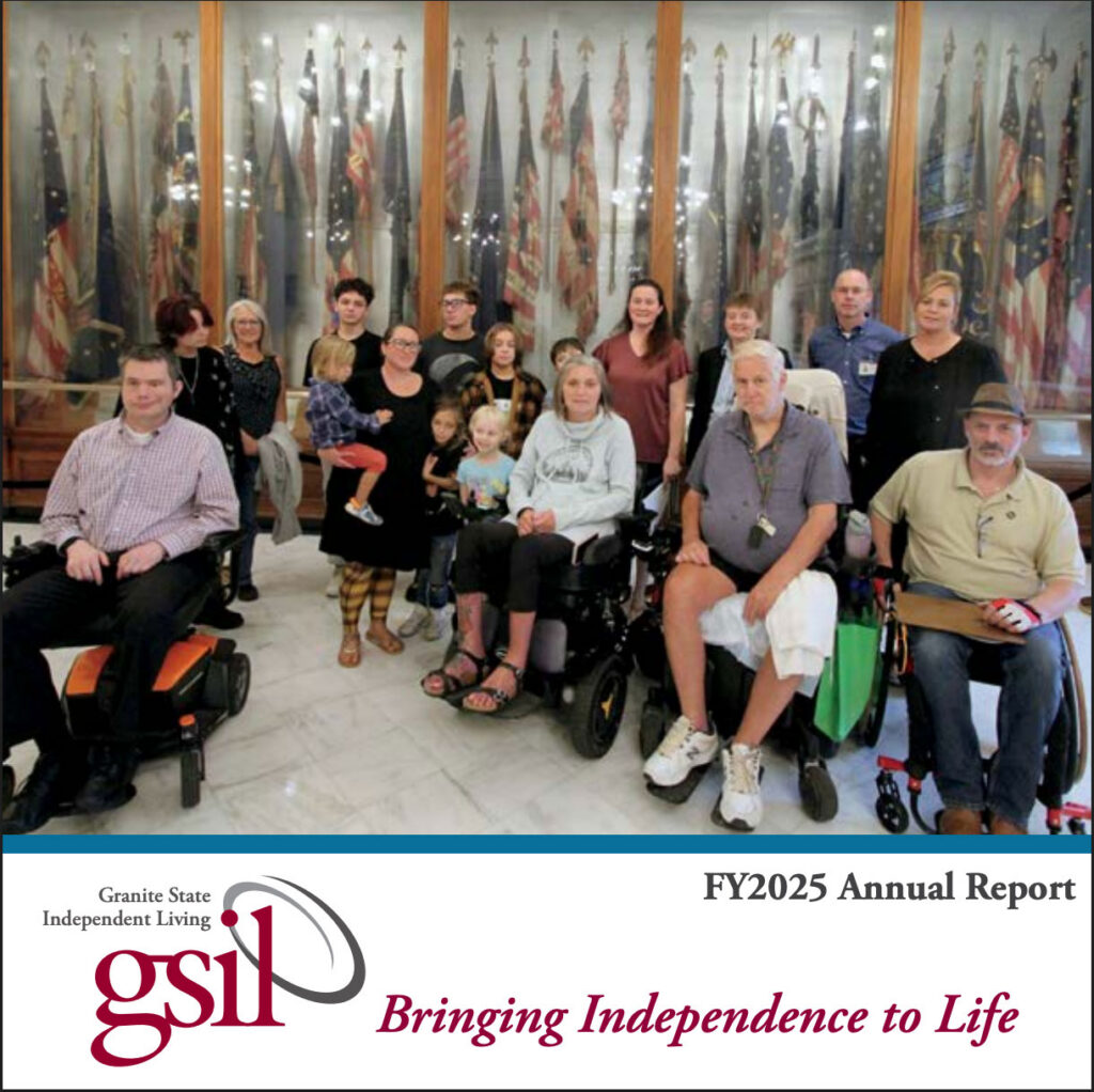 gsil-annual-report